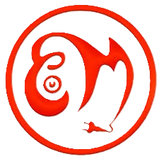 My Website